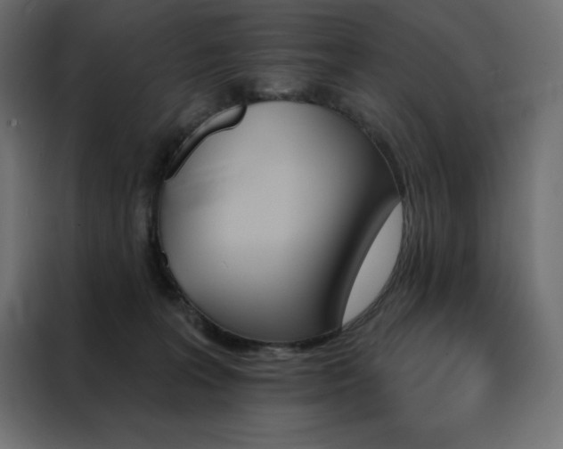 X0000088470227200705221409