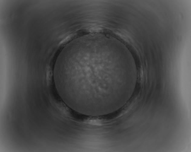 X0000088470228200705221409