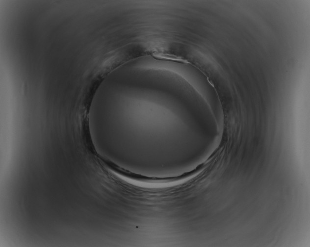 X0000088470229200705221409