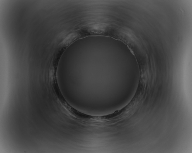 X0000088470231200705221409