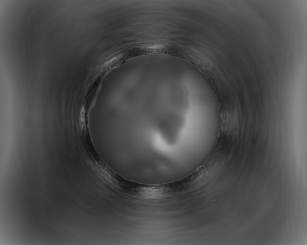X0000088470238200705221409