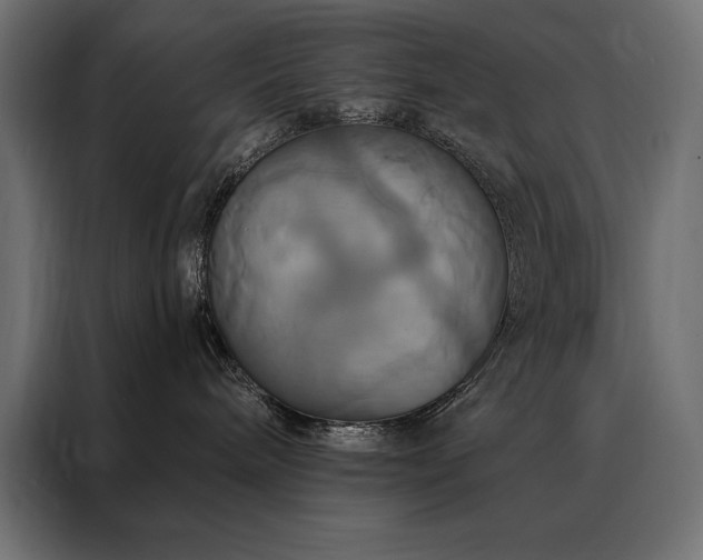 X0000088470240200705221409