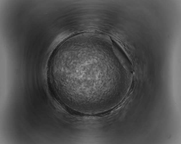 X0000088470242200705221408