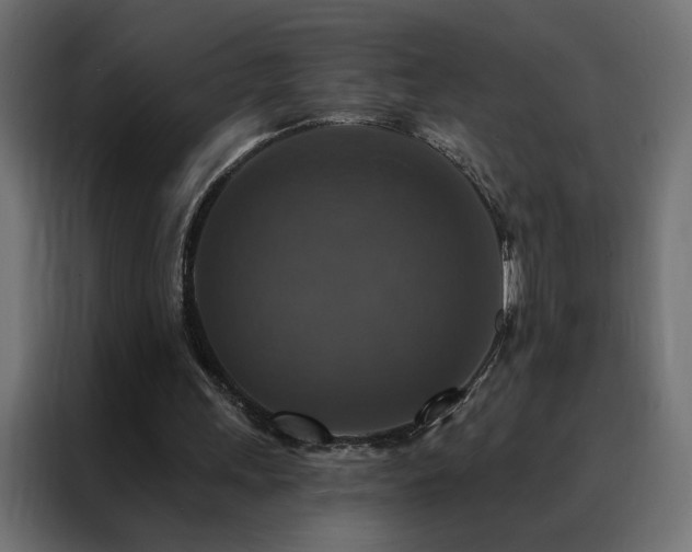 X0000088470243200705221409