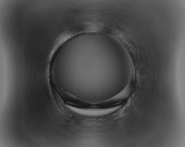 X0000088470244200705221409