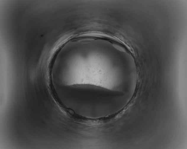 X0000088470245200705221409