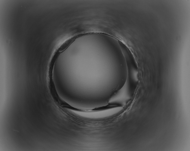 X0000088470248200705221409
