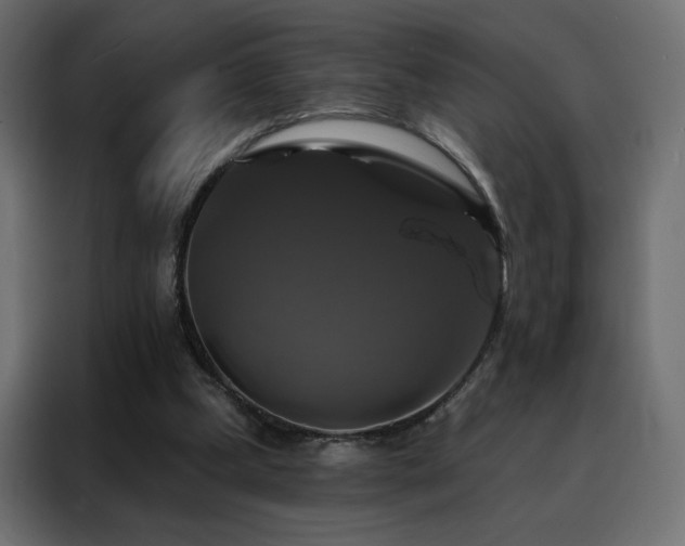 X0000088470249200705221409