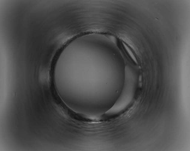 X0000088470252200705221409