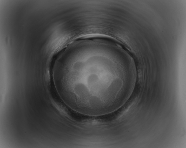 X0000088470254200705221409