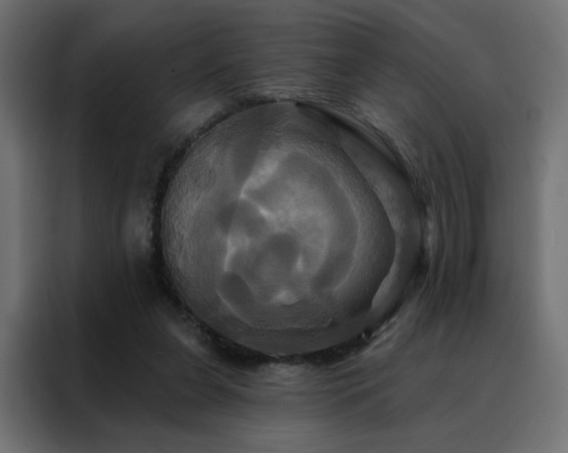 X0000088470255200705221409