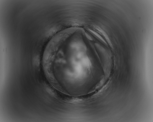 X0000088470257200705221409