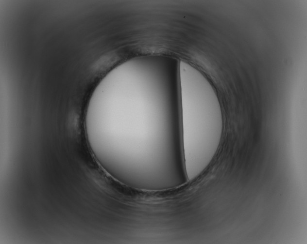 X0000088470258200705221409