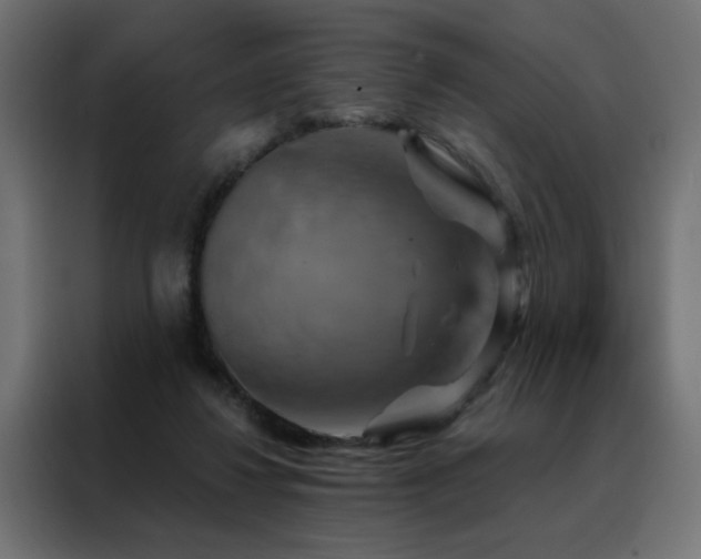 X0000088470260200705221409