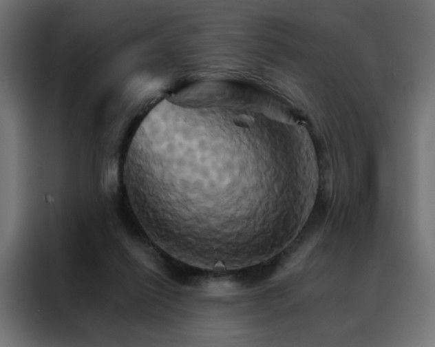 X0000088470262200705221409