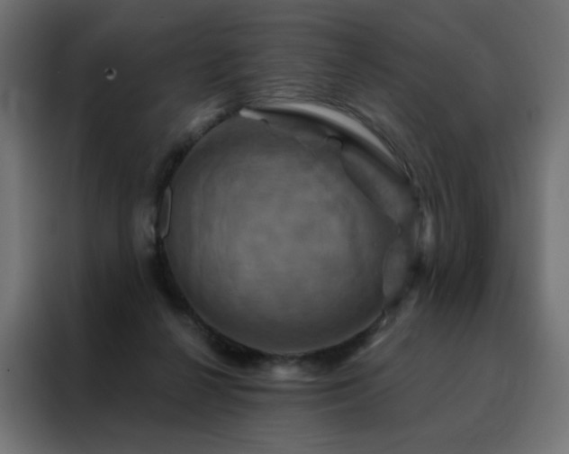 X0000088470264200705221409