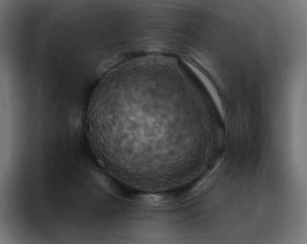 X0000088470265200705221409