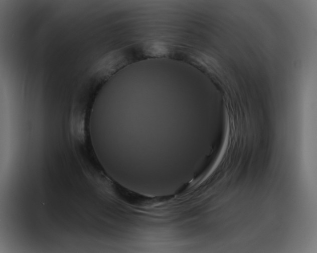 X0000088470267200705221409
