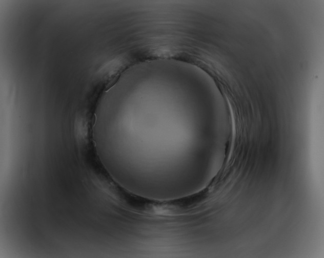 X0000088470268200705221409