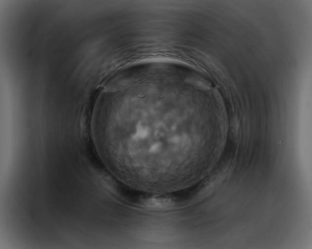 X0000088470270200705221409