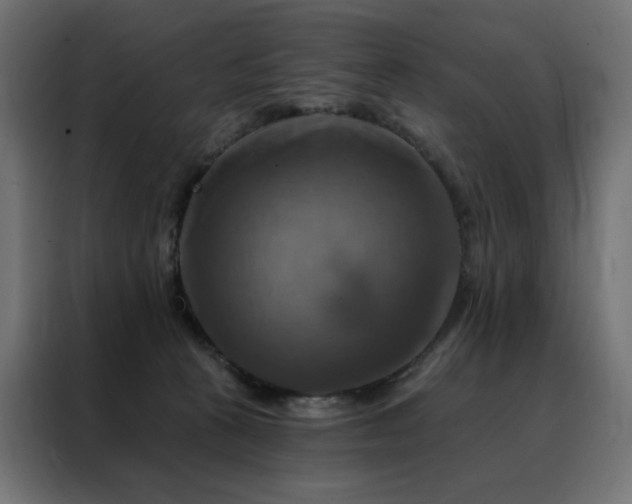 X0000088470273200705221409