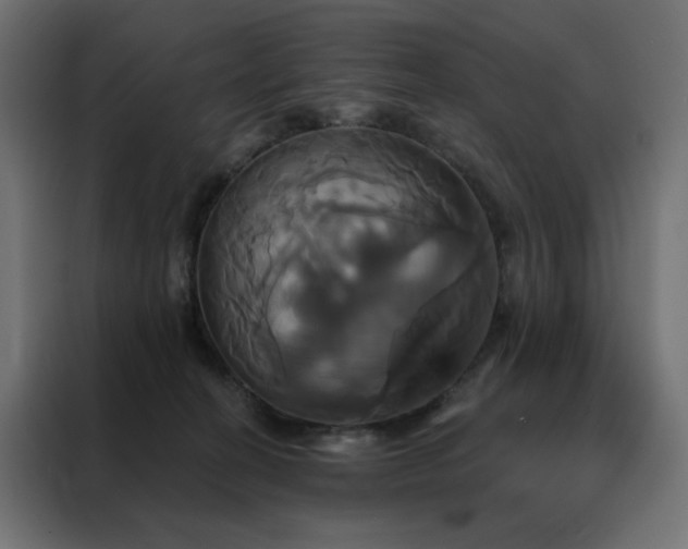 X0000088470274200705221409