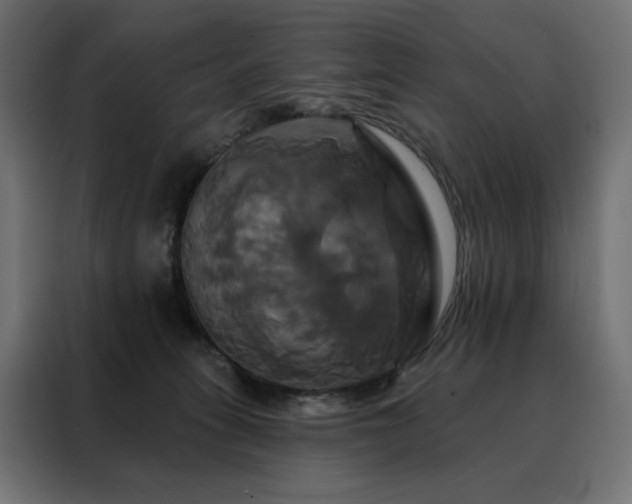 X0000088470275200705221409