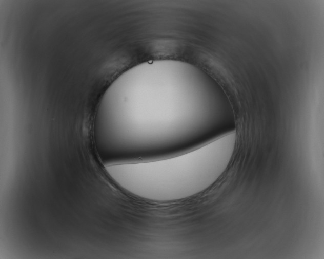 X0000088470277200705221409