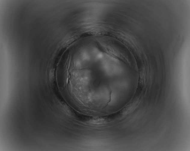 X0000088470278200705221409