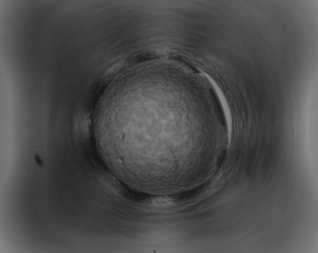 X0000088470279200705221409