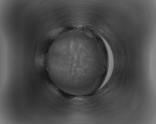 X0000088470280200705221409
