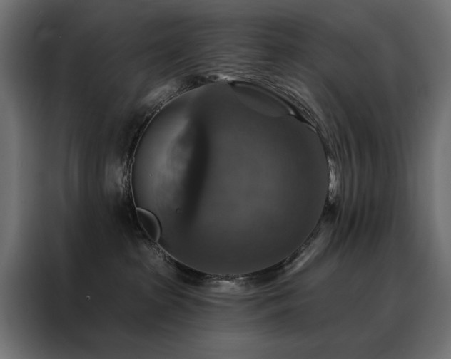X0000088470285200705221409