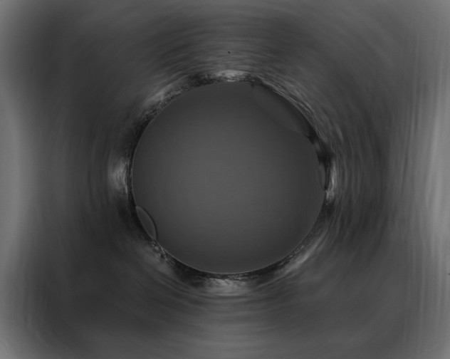 X0000088470286200705221409