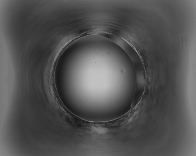X0000088470289200705221408