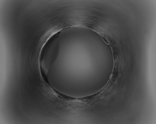 X0000088470290200705221408