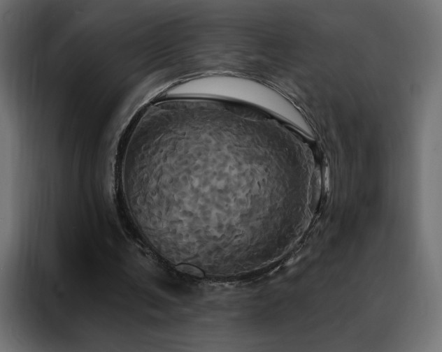 X0000088470291200705221408