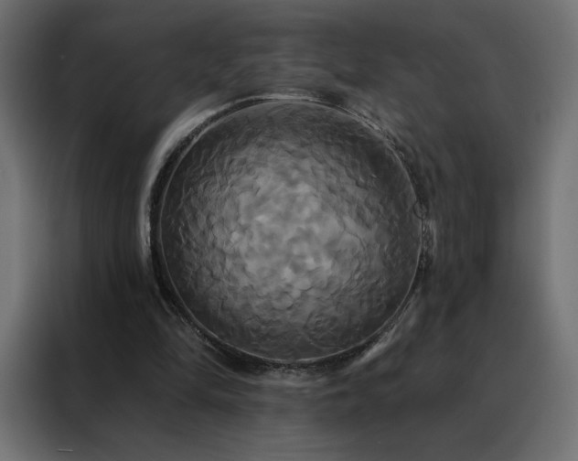 X0000088470294200705221408