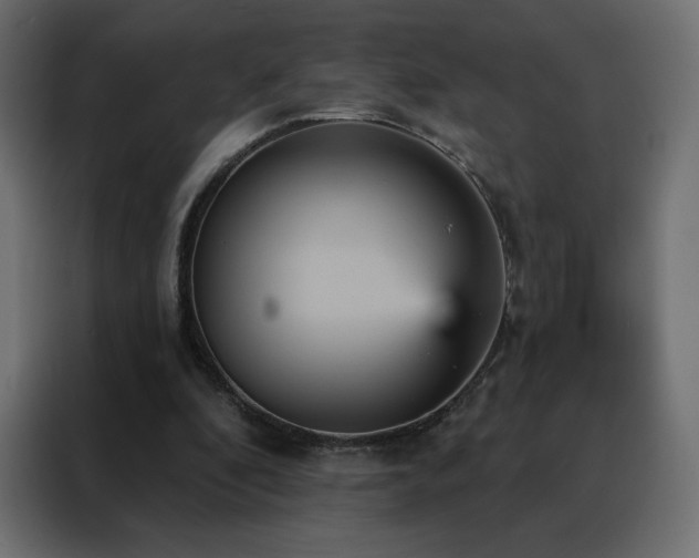 X0000088470296200705221408
