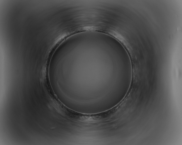 X0000088470297200705221408