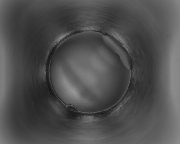 X0000088470298200705221408