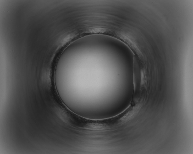 X0000088470300200705221408