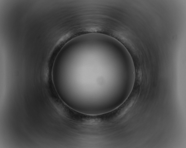 X0000088470304200705221408