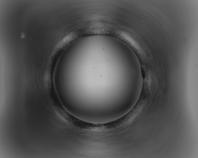 X0000088470306200705221408
