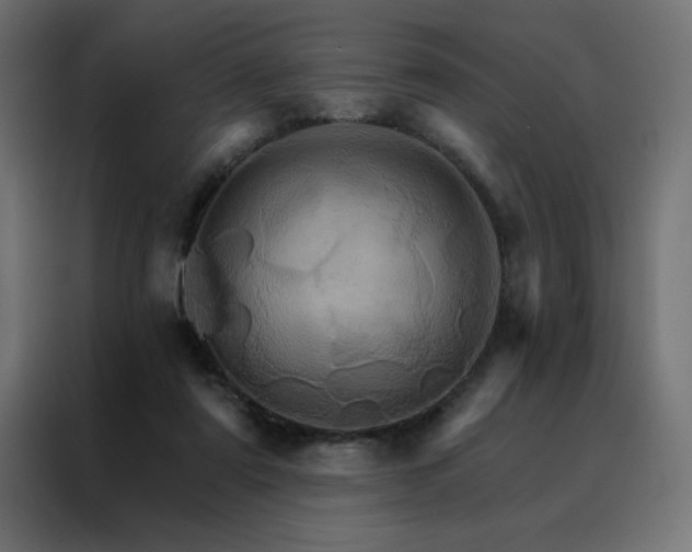 X0000088470307200705221408