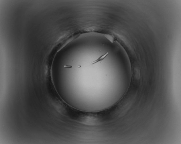 X0000088470308200705221408