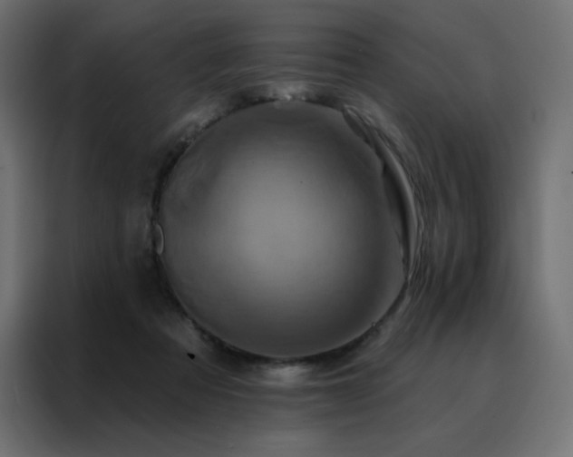 X0000088470313200705221408