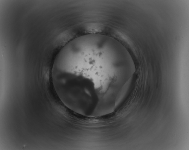 X0000088470315200705221408