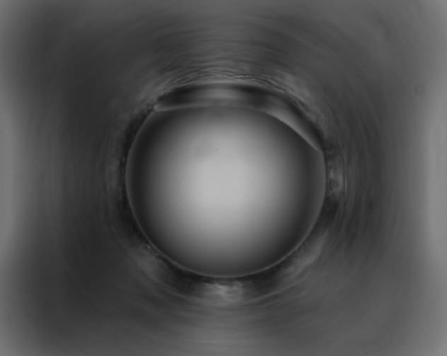 X0000088470317200705221408