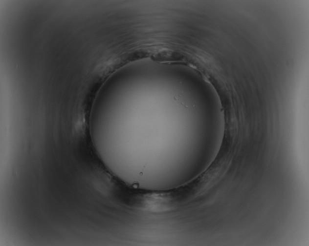 X0000088470320200705221408