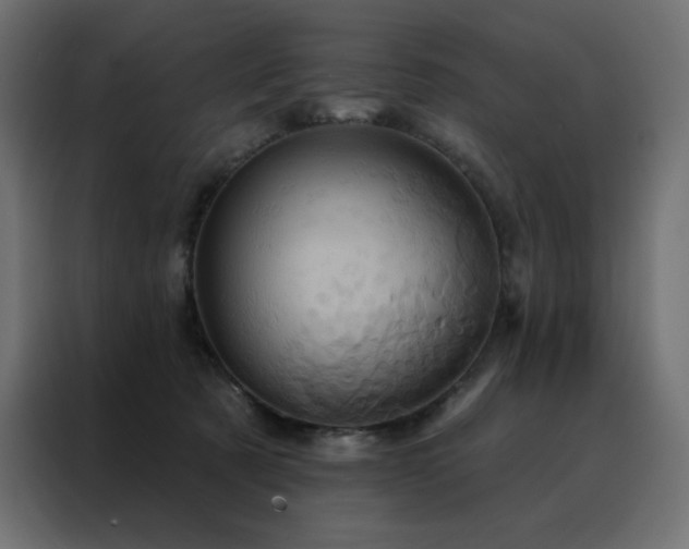 X0000088470321200705221408